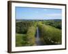 Argens Minervois Village, UNESCO World Heritage Site, Aude, Languedoc Roussillon, France-Tuul-Framed Photographic Print