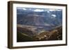 Argentina, Andes-Barry Herman-Framed Photographic Print