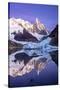 Argentina Andes-Art Wolfe-Stretched Canvas