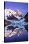 Argentina Andes-Art Wolfe-Stretched Canvas