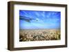 Argentina, Buenos Aires, City Airport Jorge Newbery Aep. Taking Off-Michele Molinari-Framed Photographic Print