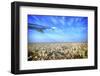 Argentina, Buenos Aires, City Airport Jorge Newbery Aep. Taking Off-Michele Molinari-Framed Photographic Print