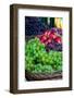 Argentina, Buenos Aires. San Telmo Market, aka Mercado San Telmo. Fresh fruit.-Cindy Miller Hopkins-Framed Photographic Print