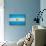 Argentina Flag Design with Wood Patterning - Flags of the World Series-Philippe Hugonnard-Art Print displayed on a wall