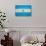 Argentina Flag Design with Wood Patterning - Flags of the World Series-Philippe Hugonnard-Art Print displayed on a wall