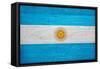 Argentina Flag Design with Wood Patterning - Flags of the World Series-Philippe Hugonnard-Framed Stretched Canvas