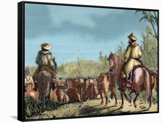 Argentina. Gauchos Driving Cattle-null-Framed Stretched Canvas
