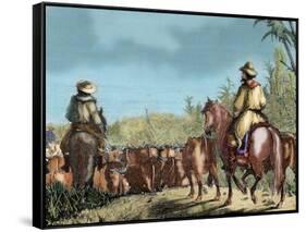 Argentina. Gauchos Driving Cattle-null-Framed Stretched Canvas