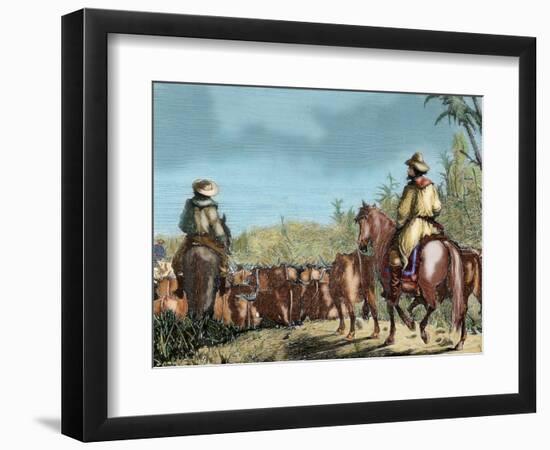 Argentina. Gauchos Driving Cattle-null-Framed Giclee Print