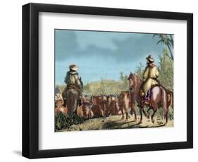 Argentina. Gauchos Driving Cattle-null-Framed Giclee Print