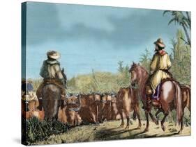 Argentina. Gauchos Driving Cattle-null-Stretched Canvas
