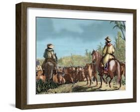 Argentina. Gauchos Driving Cattle-null-Framed Giclee Print