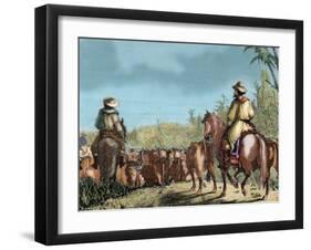 Argentina. Gauchos Driving Cattle-null-Framed Giclee Print