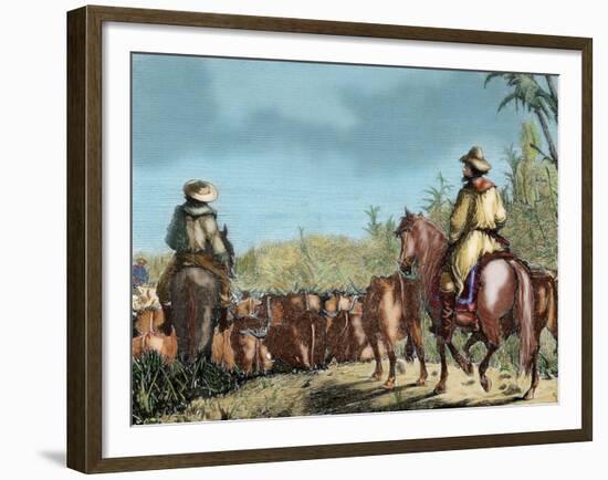 Argentina. Gauchos Driving Cattle-null-Framed Giclee Print