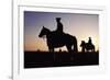 Argentina, Horsemen in Landscape, Silhouette, Sunset-Christopher Pillitz-Framed Photographic Print