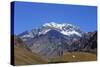 Argentina, Mendoza, Aconcagua Pronvicial Park, Mt Aconcagua-Michele Falzone-Stretched Canvas