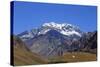 Argentina, Mendoza, Aconcagua Pronvicial Park, Mt Aconcagua-Michele Falzone-Stretched Canvas