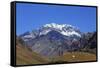 Argentina, Mendoza, Aconcagua Pronvicial Park, Mt Aconcagua-Michele Falzone-Framed Stretched Canvas