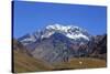 Argentina, Mendoza, Aconcagua Pronvicial Park, Mt Aconcagua-Michele Falzone-Stretched Canvas