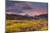 Argentina, Patagonia landscape-Art Wolfe-Mounted Photographic Print