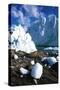 Argentina, Patagonia, Los Glaciares National Park, Perito Moreno Glacier-null-Stretched Canvas