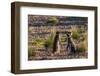 Argentina, Patagonia. Magellanic penguins interact on the beach-Howie Garber-Framed Photographic Print