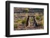 Argentina, Patagonia. Magellanic penguins interact on the beach-Howie Garber-Framed Photographic Print