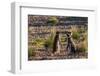 Argentina, Patagonia. Magellanic penguins interact on the beach-Howie Garber-Framed Photographic Print