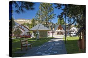 Argentina, Patagonia, Province Neuquen, Juna De Los Andes, Town Park-Chris Seba-Stretched Canvas