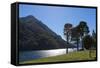 Argentina, Patagonia, Province Neuquen, National Park Lana, Lake Lago Tromen-Chris Seba-Framed Stretched Canvas