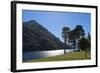 Argentina, Patagonia, Province Neuquen, National Park Lana, Lake Lago Tromen-Chris Seba-Framed Photographic Print