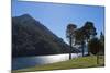 Argentina, Patagonia, Province Neuquen, National Park Lana, Lake Lago Tromen-Chris Seba-Mounted Photographic Print