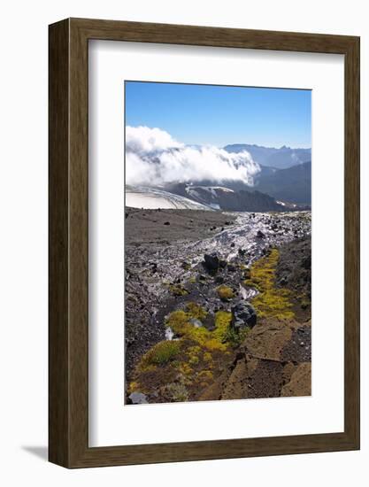 Argentina, Patagonia, the Andes, National Park Nahuel Huapi, Monte Tronador-Chris Seba-Framed Photographic Print
