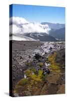 Argentina, Patagonia, the Andes, National Park Nahuel Huapi, Monte Tronador-Chris Seba-Stretched Canvas