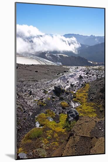 Argentina, Patagonia, the Andes, National Park Nahuel Huapi, Monte Tronador-Chris Seba-Mounted Photographic Print