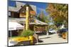 Argentina, Patagonia, Vila La Angostura, City Centre, Shops-Chris Seba-Mounted Photographic Print