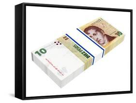 Argentina Pesos-ppart-Framed Stretched Canvas