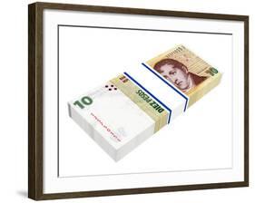 Argentina Pesos-ppart-Framed Photographic Print