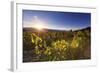 Argentina, Salta, Cafayate, Torrontes Grape Wineries-Michele Falzone-Framed Photographic Print