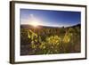 Argentina, Salta, Cafayate, Torrontes Grape Wineries-Michele Falzone-Framed Photographic Print