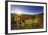 Argentina, Salta, Cafayate, Torrontes Grape Wineries-Michele Falzone-Framed Photographic Print