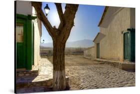 Argentina, Salta, Valles Calchaquies. Close-Up Street View-Michele Molinari-Stretched Canvas