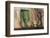 Argentina, Salta, Valles Calchaquies. Shadowed Bike by Green Door-Michele Molinari-Framed Photographic Print