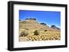 Argentina, Santa Cruz. Alero Charcamata (cave paintings site) and surroundings.-Michele Molinari-Framed Photographic Print