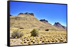 Argentina, Santa Cruz. Alero Charcamata (cave paintings site) and surroundings.-Michele Molinari-Framed Stretched Canvas