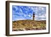 Argentina, Santa Cruz. Puerto Deseado, Penguin Island.-Michele Molinari-Framed Photographic Print