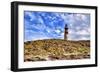 Argentina, Santa Cruz. Puerto Deseado, Penguin Island.-Michele Molinari-Framed Photographic Print