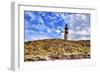 Argentina, Santa Cruz. Puerto Deseado, Penguin Island.-Michele Molinari-Framed Photographic Print