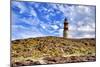 Argentina, Santa Cruz. Puerto Deseado, Penguin Island.-Michele Molinari-Mounted Photographic Print