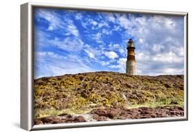 Argentina, Santa Cruz. Puerto Deseado, Penguin Island.-Michele Molinari-Framed Photographic Print